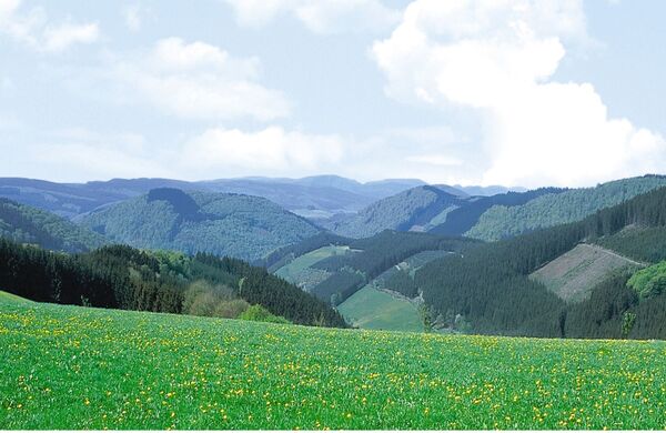 Oberkirchen im Sauerland
